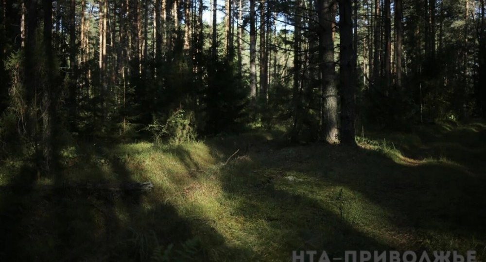 Прием заявлений на весеннюю охоту откроют в Башкирии 23 марта