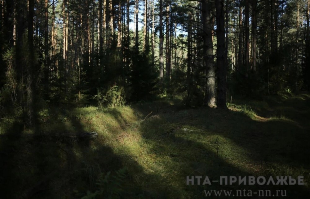    Прием заявлений на весеннюю охоту откроют в Башкирии 23 марта