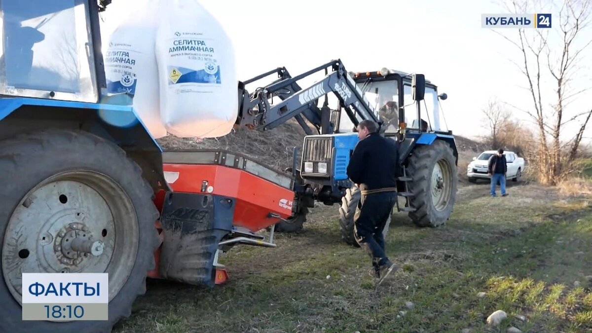    Скриншот видео телеканала «Кубань 24»