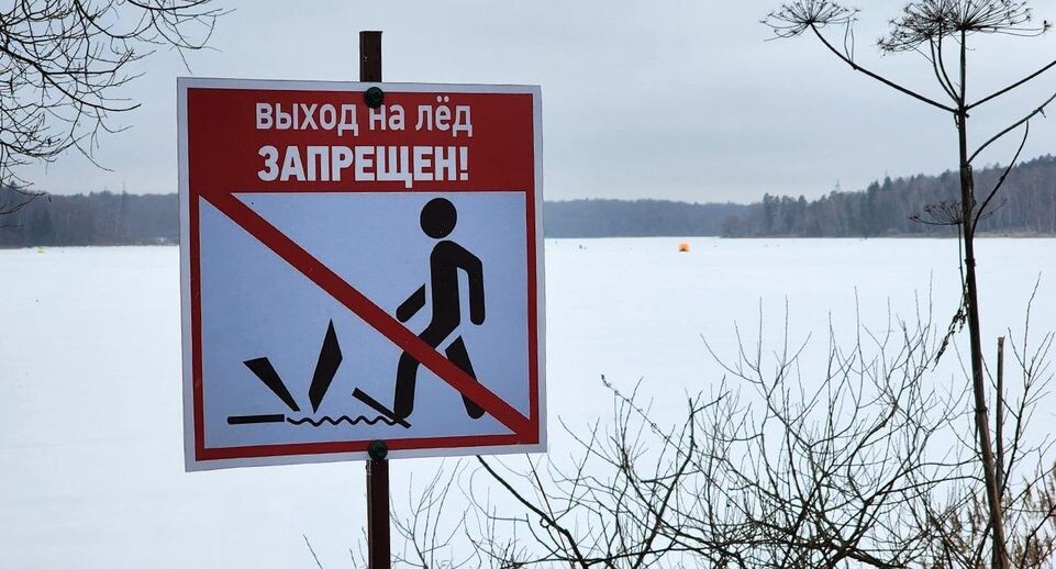    МедиаБанк Подмосковья/Екатерина Данилина