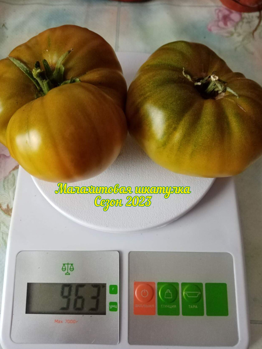 Сезон 2024/фото автора 