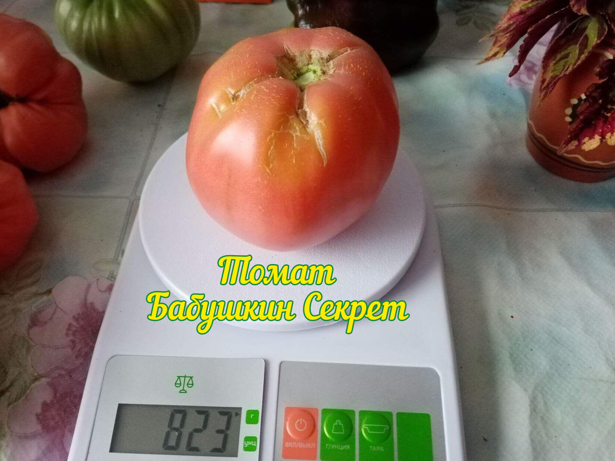 Сезон 2022/фото автора