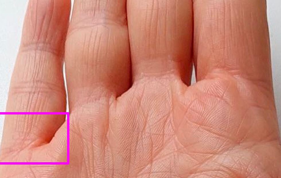 Так он выглядит