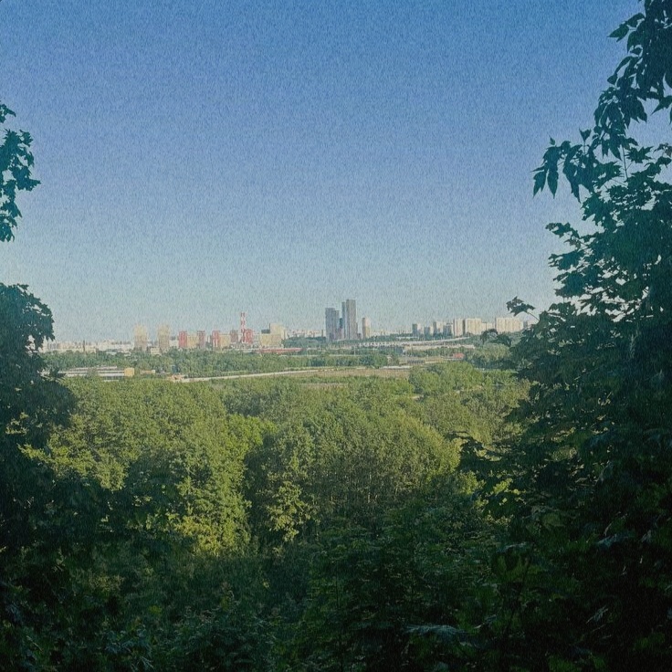 Вид на город из леса.