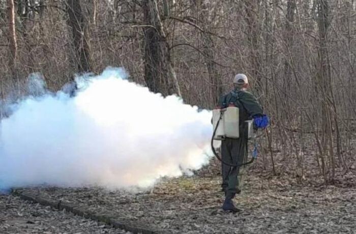 Иллюстрация: соцсети А. Скрябина