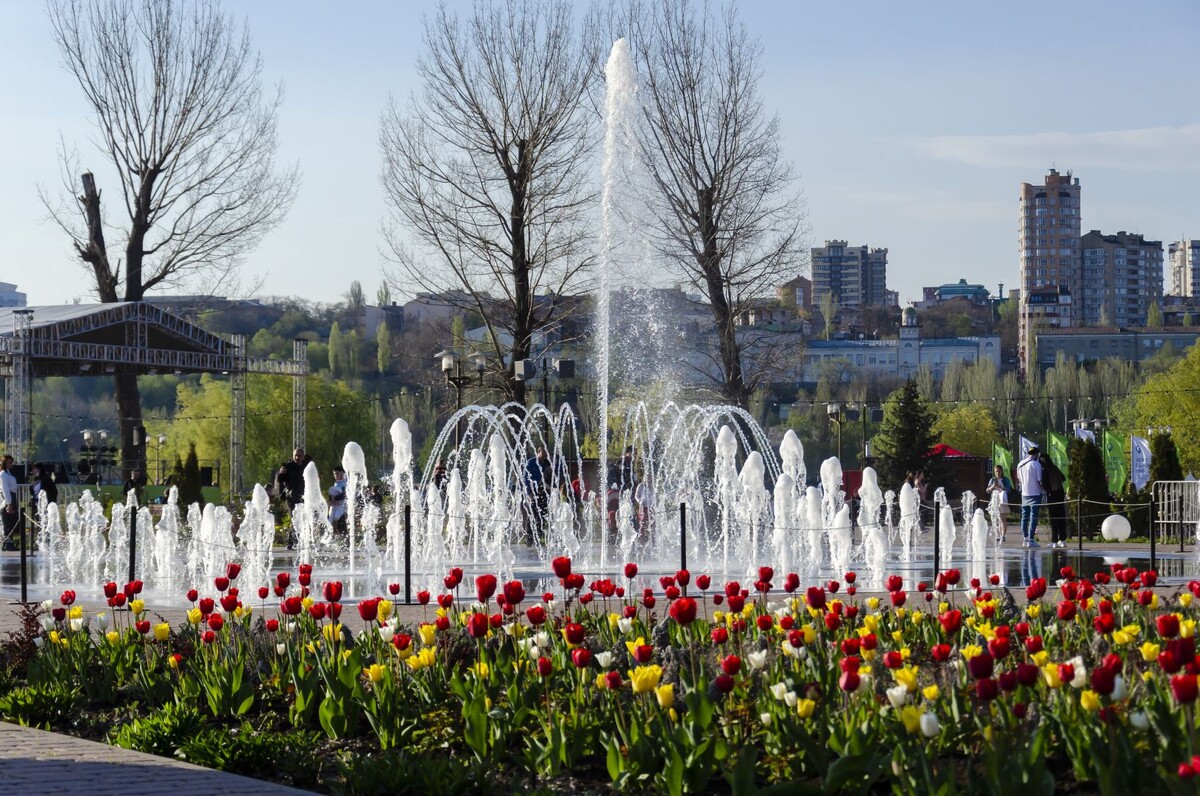 Фото: https://rostof.ru/articles