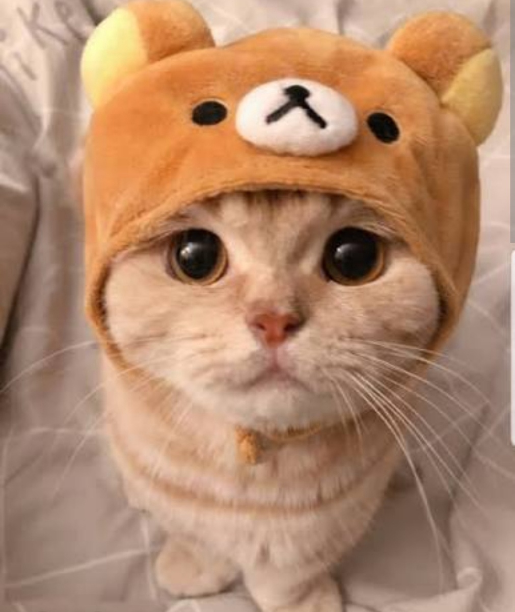 а это просто 🥰