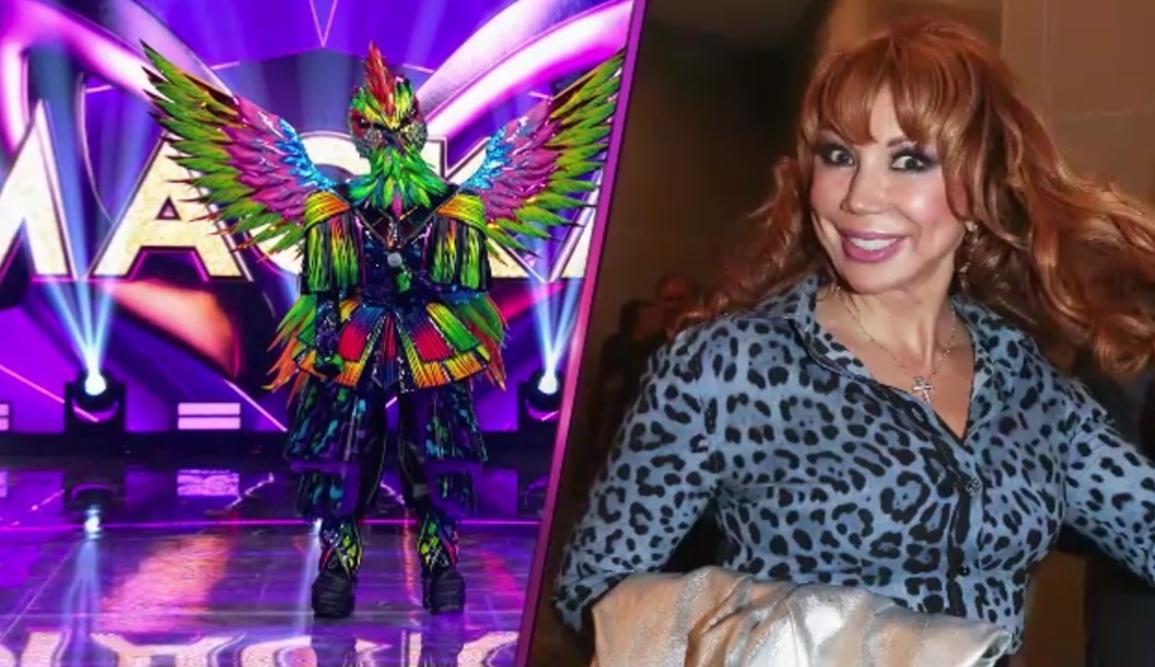 Версии. Кто скрывается под маской Колибри в шоу "Маска 7" на НТВ? Когда Колибри снимет маску?