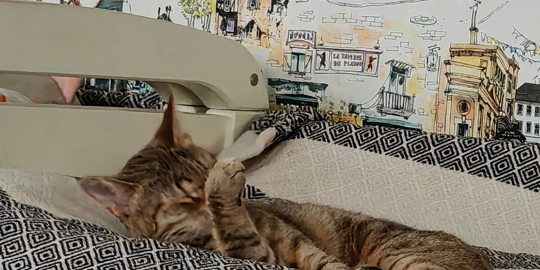 Жена с сыном вернулись домой, и с дорогими гостями