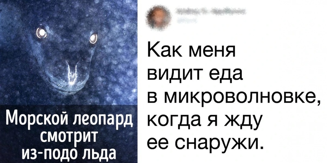16 человек, которые видят в обычных вещах немного больше, чем мы с вами