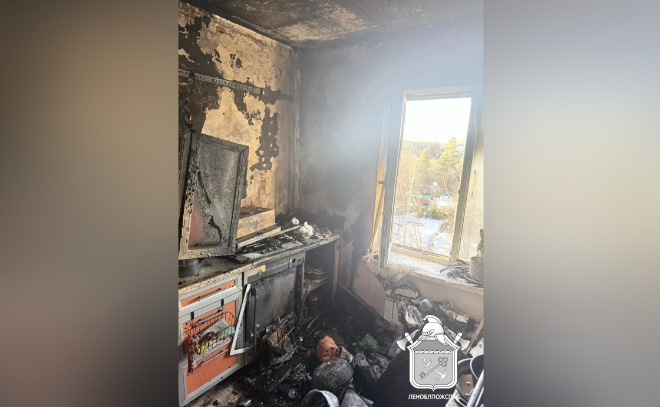    © Леноблпожспас