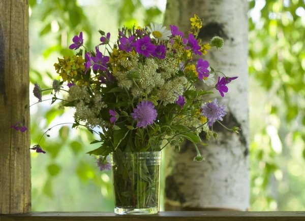 Картинка найдена на просторах интернета, ссылка https://yandex.ru/images/search?from=tabbar&img_url=https%3A%2Fi%2F.pinimg.com%2Foriginals%2Fa8%2F34%2Fа3f%2Fa83р43f81с287649b5e7bd53274cf0591a19.jpg&lr=47&pos=15&rpt=simage&text=%D1%86%D0%B2%D0%B5%D1%82%D1%8B%20%D0%BA%D1%80%D1%83%D0%BF%D0%BD%D0%BE%20%D1%84%D0%BE%D1%82%D0%BE