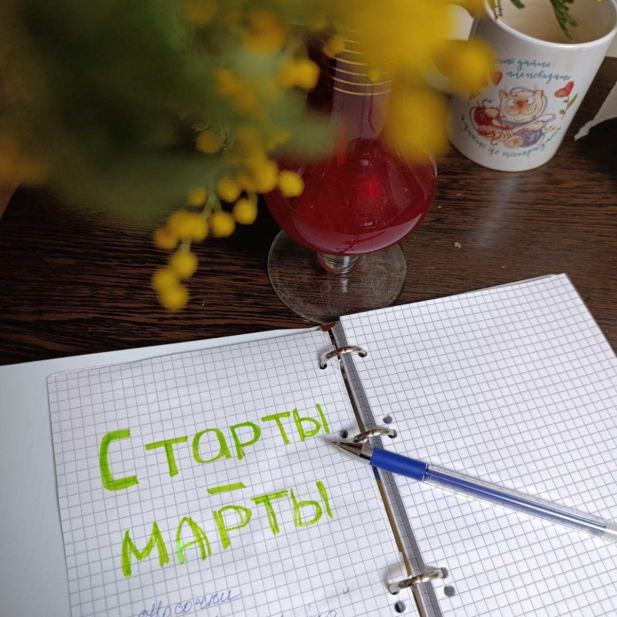 составила план