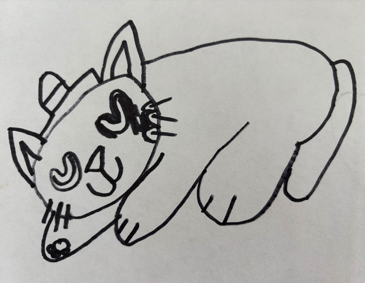 Рисунок Эли — кот в шапочке