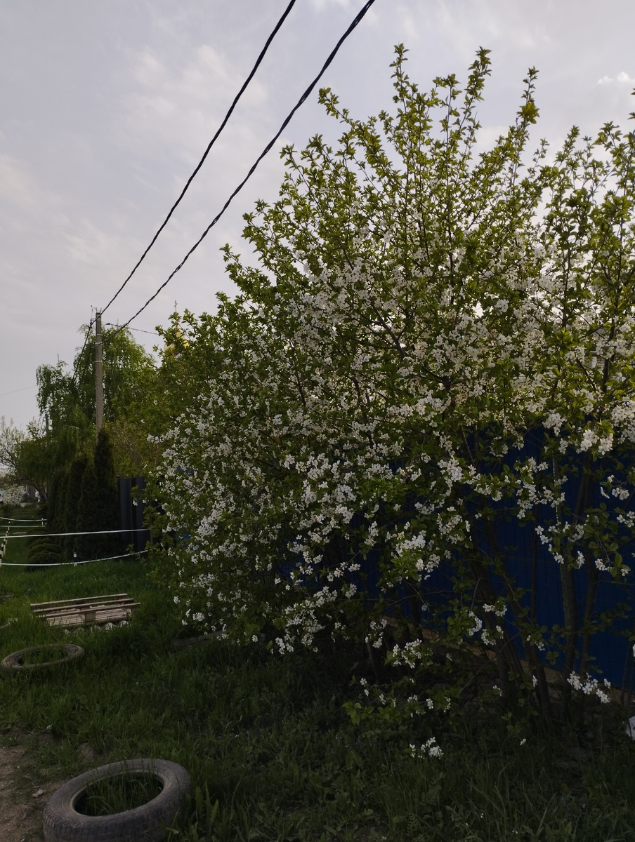 Фото автора.