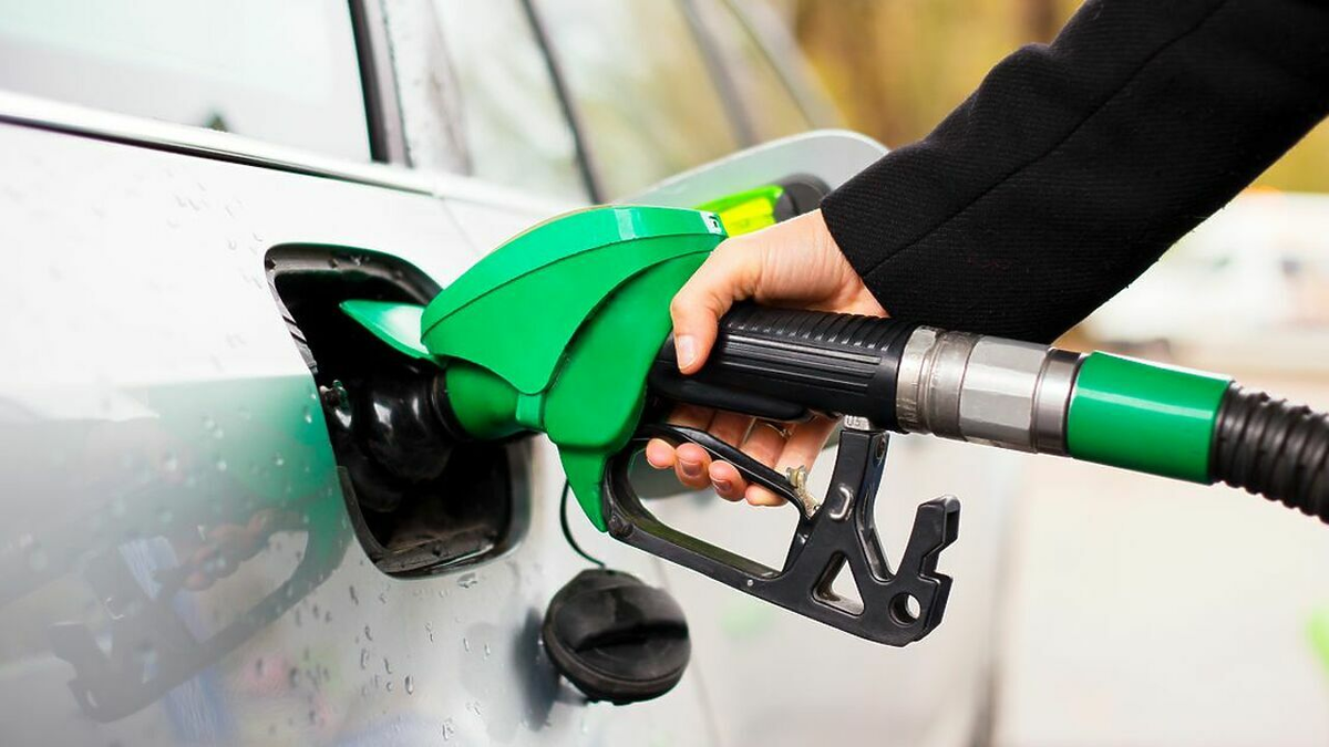 Изображение взято с сервиса Яндекс.Картинки