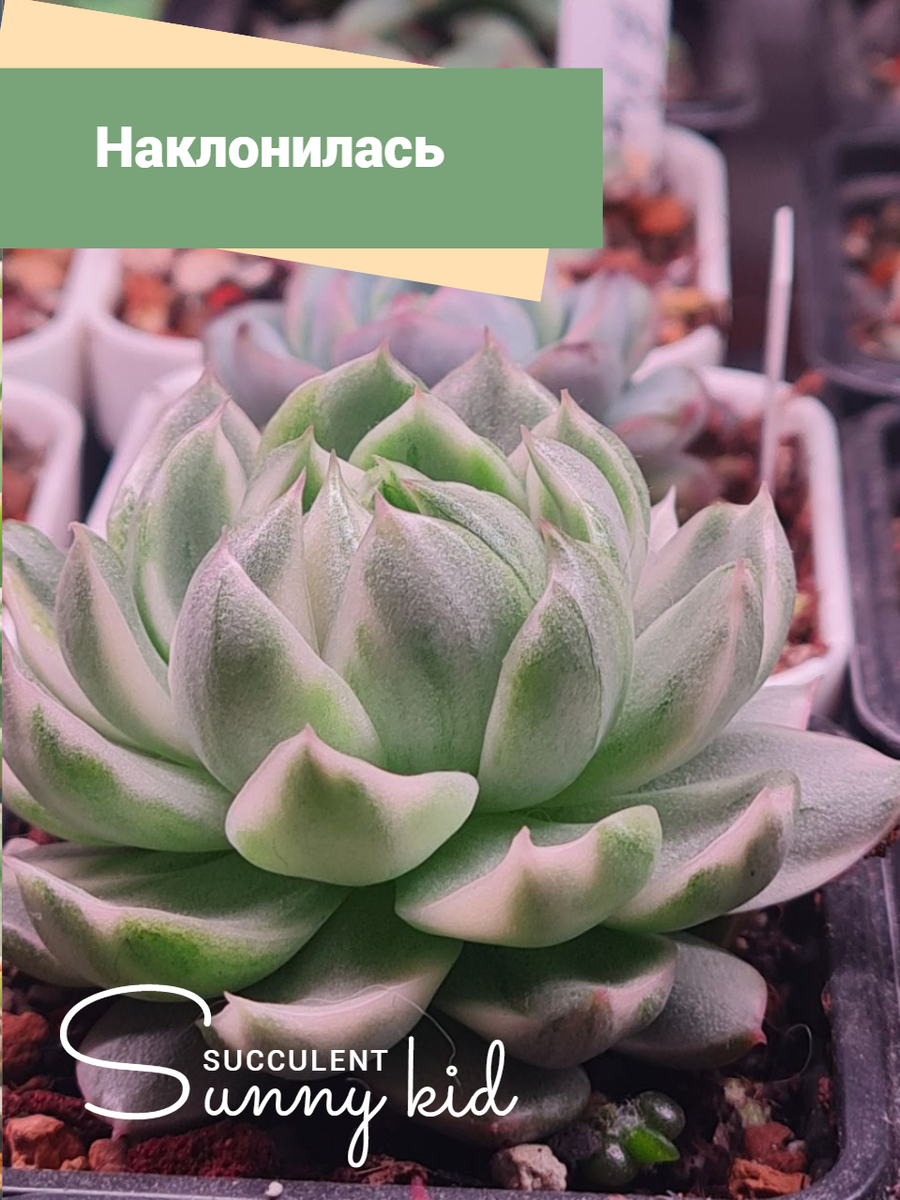 Чаще поворачивать