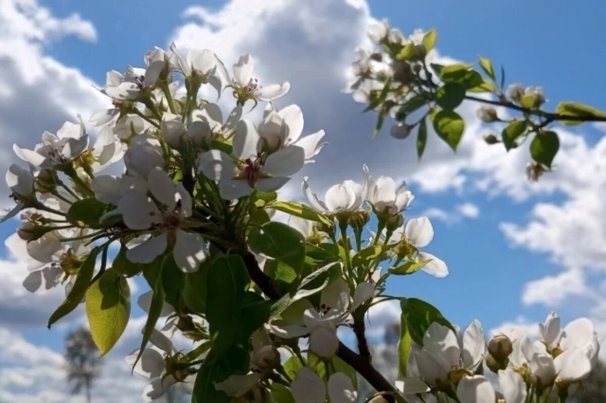    Потепление ожидается в выходные в Нижнем Новгороде