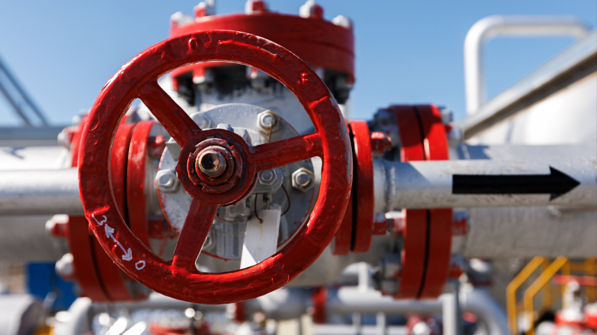    Фото: www.globallookpress.com/Sergey Elagin