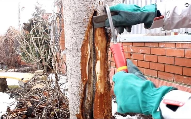 Мартовский нокаут