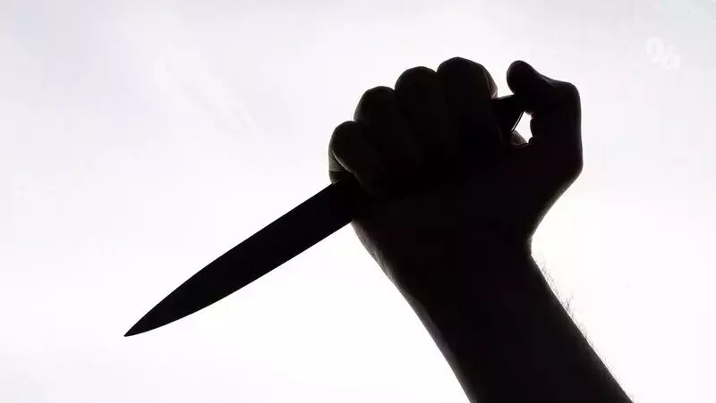      Фото: ИА «Победа26»