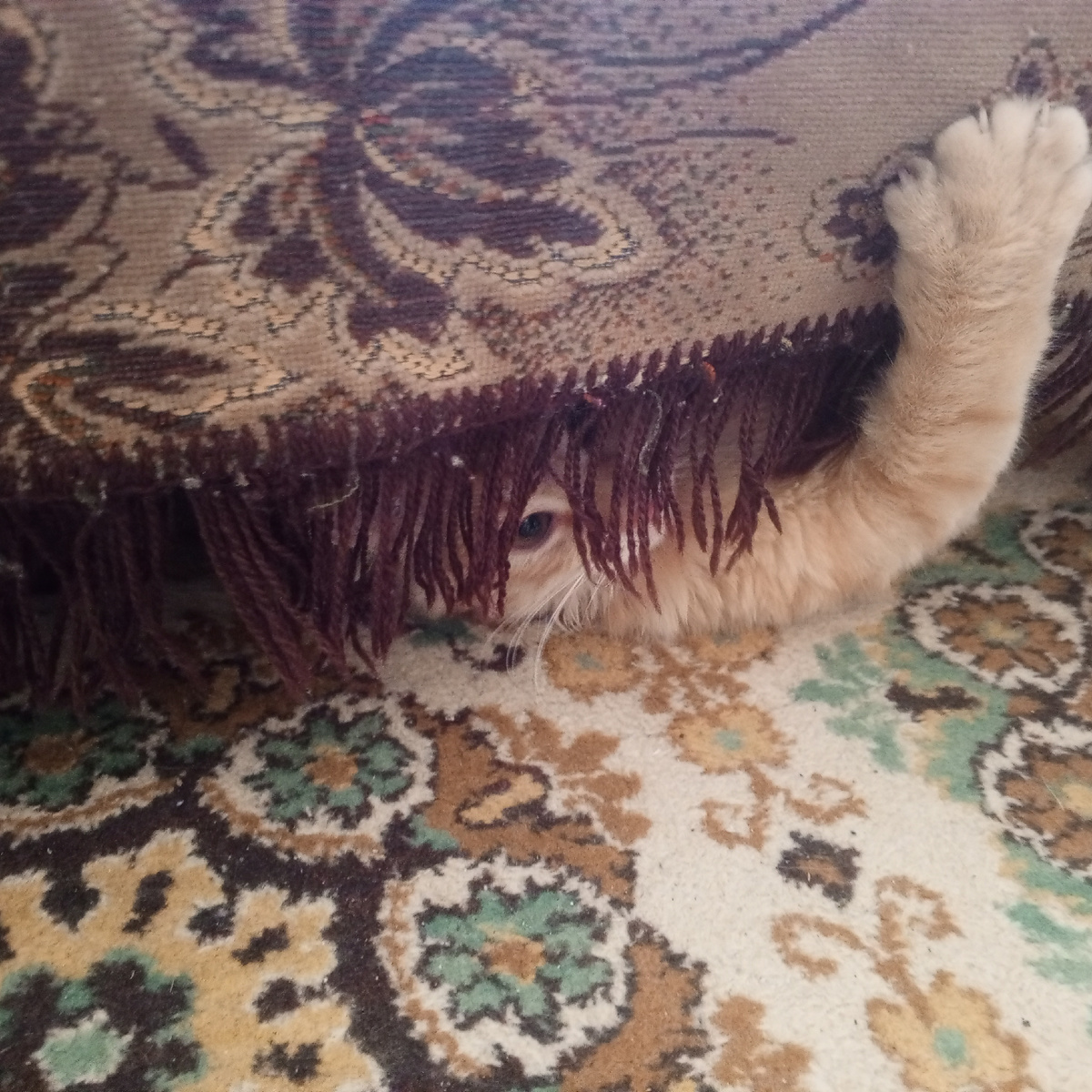 и очень внимательный глаз