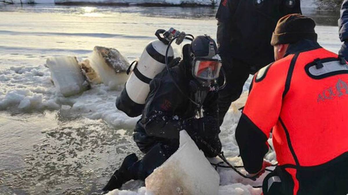    Фото: МЧС России