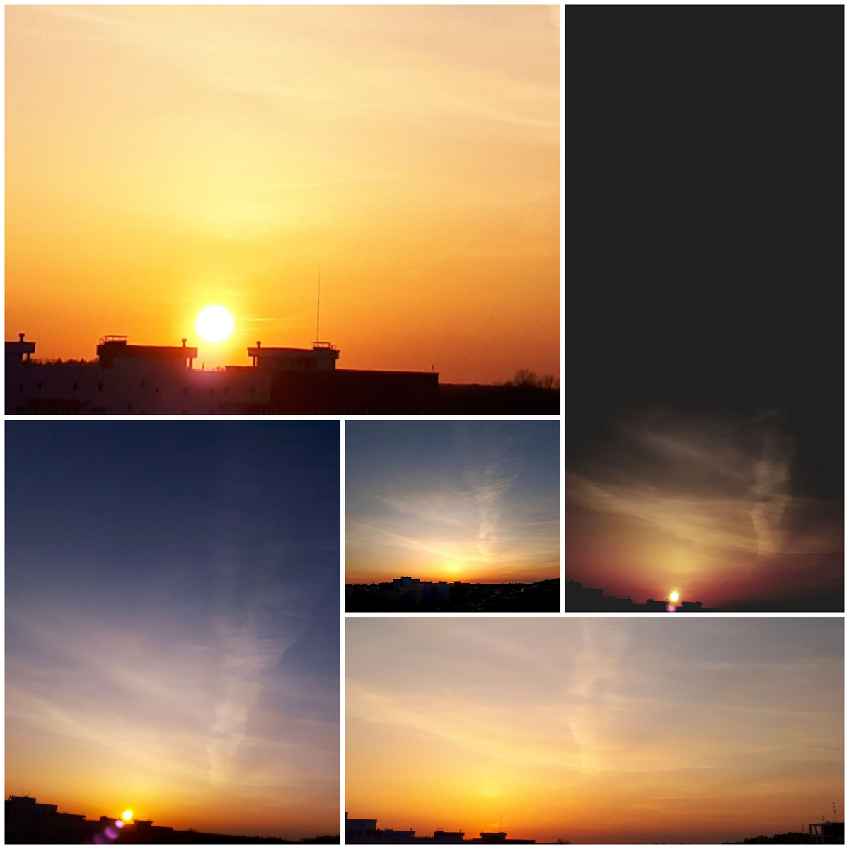 Коллаж автора 13.03.2026г.