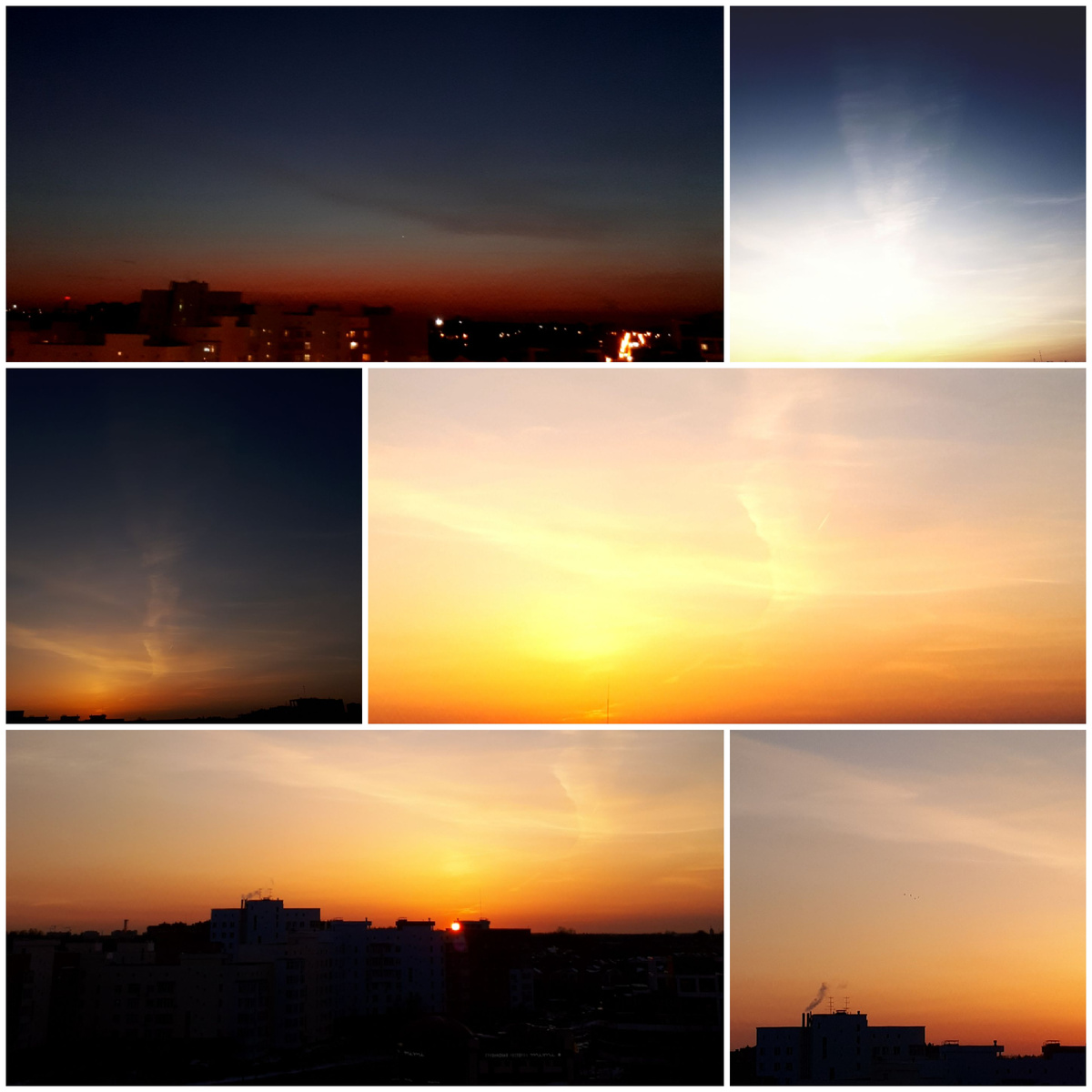 Коллаж автора 13.03.2026г.