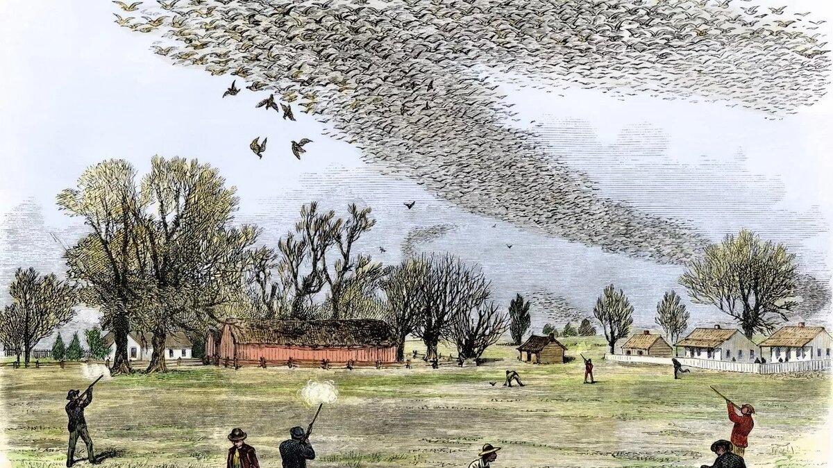 Американские поселенцы сражаются с живыми облаками