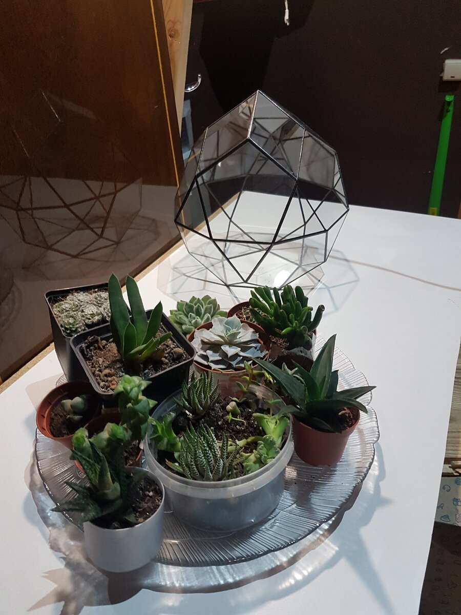 Кто помнит то, с чего я начинал?