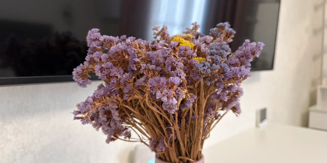 Уходить или нет? Дзен и «добрые подписчики» вынуждают принять непростое решение