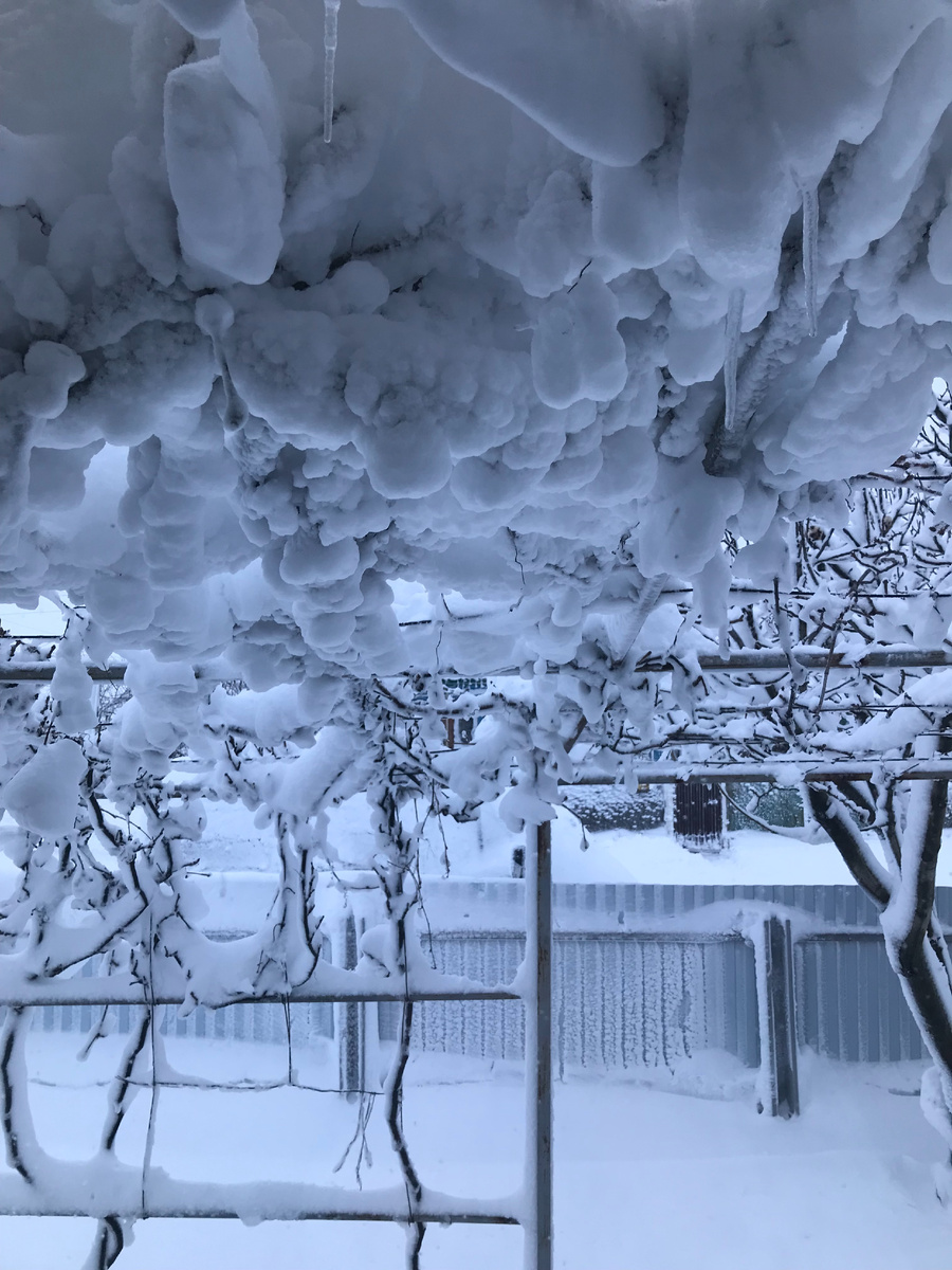 Здесь живёт снежная королева!