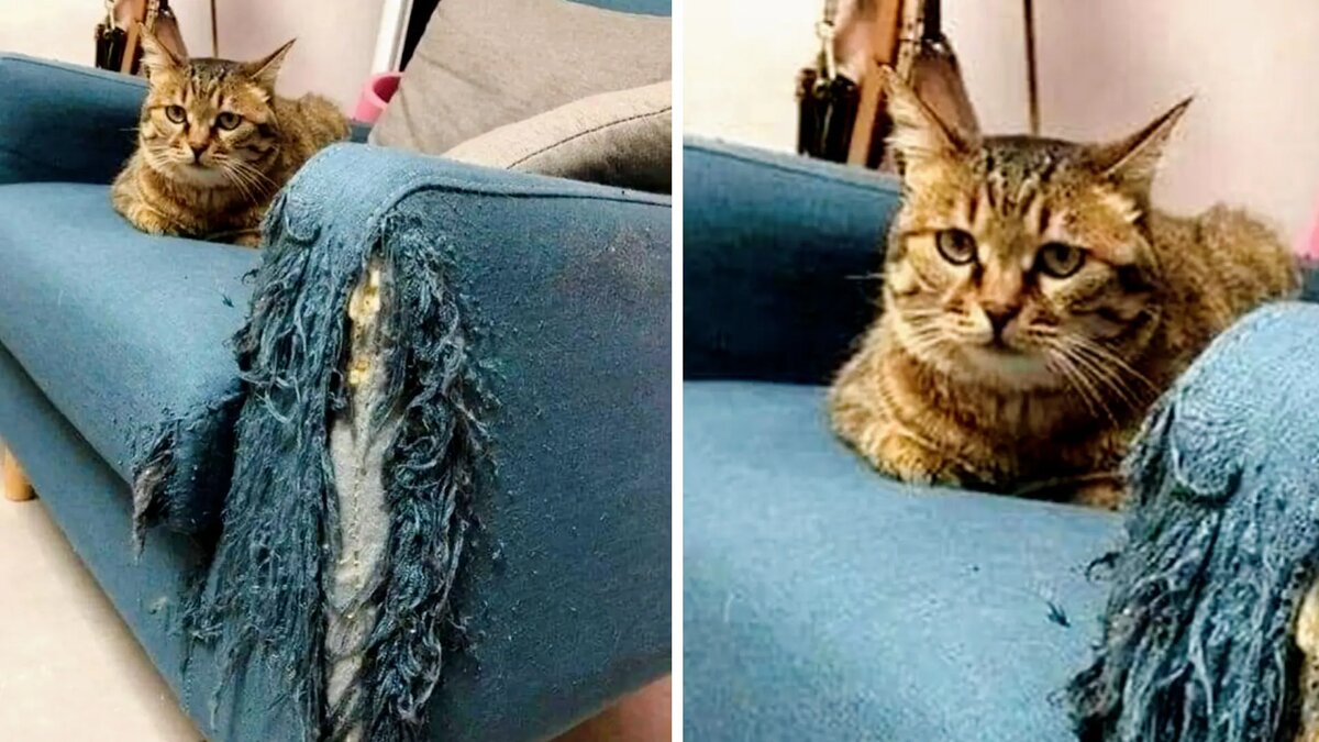 Ну вот что ты ворчишь? Ты еще спасибо мне скажешь! Еще фото --->>