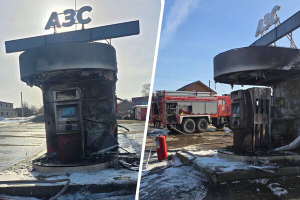 Telegram-канал «Татьяна Витушева»  📷