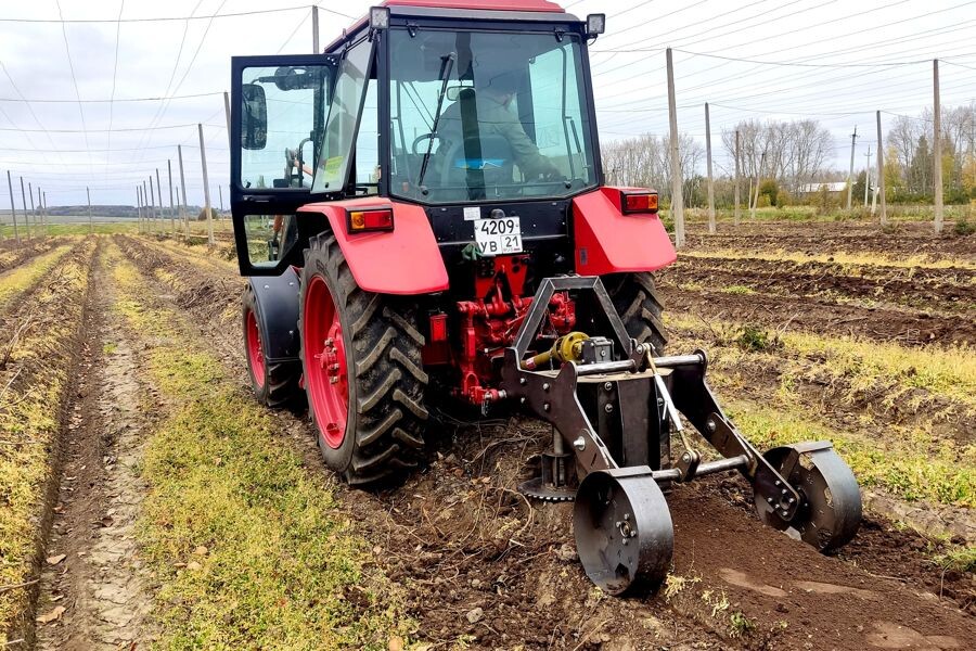    Ученые Чувашского ГАУ запатентовали изобретение для выращивания хмеля
