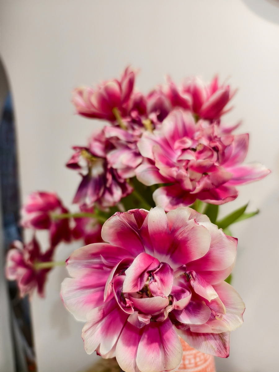 Увядающие цветы