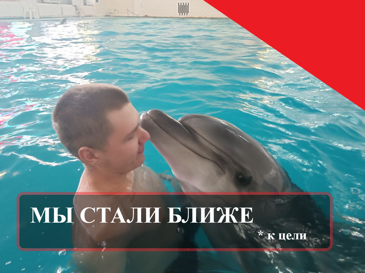 Это - моя первая встреча со здоровым дельфином, во многом определившая мою дальнейшую судьбу. Партенит, январь 2023 года.