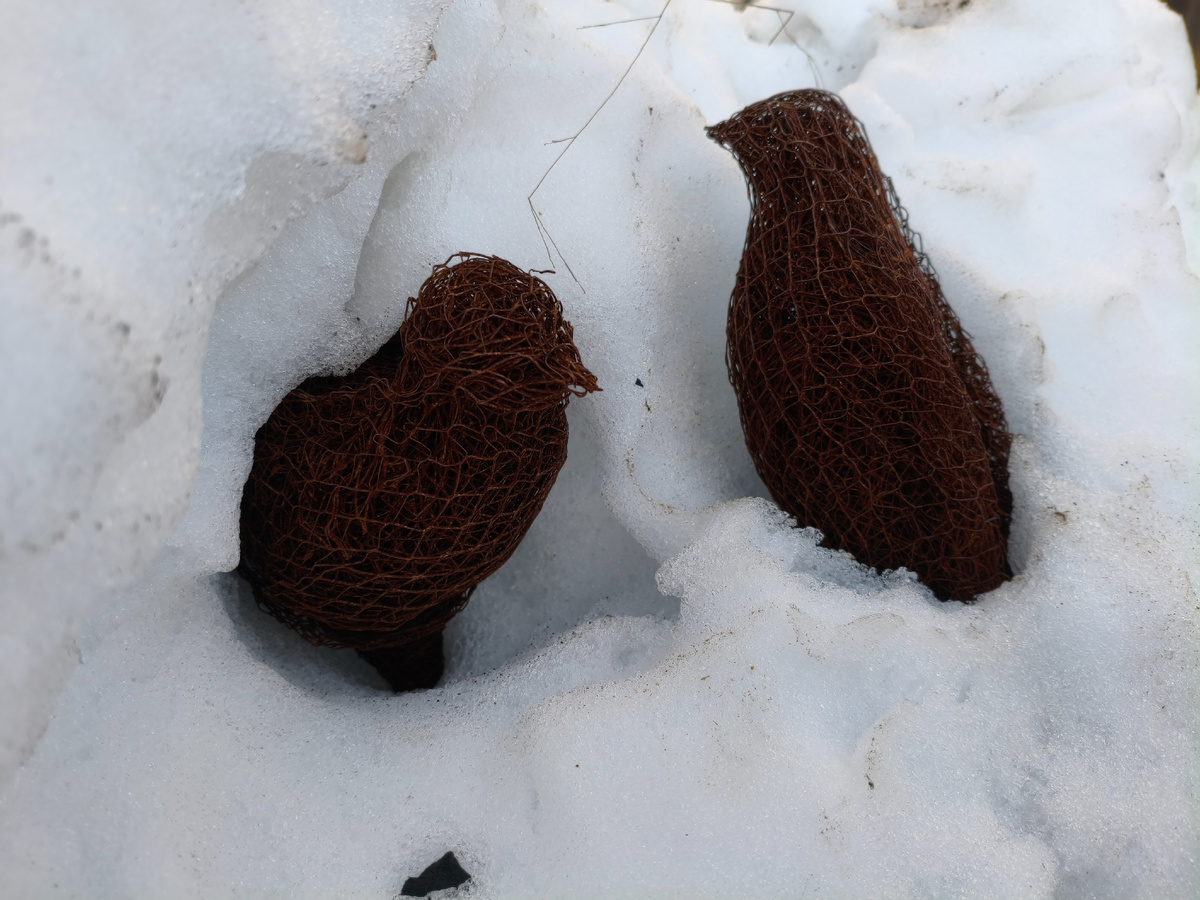 Вытаивают потихоньку, трогательные такие... 