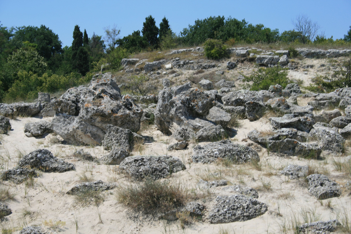 Фото: Столичный курьер