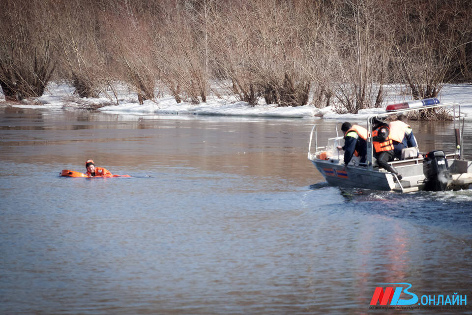    Фото: МТВ.ОНЛАЙН / Дмитрий Доценков