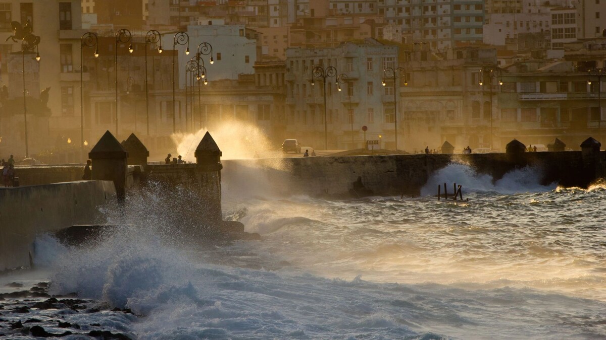    Фото: corlaffra/Shutterstock/Fotodom