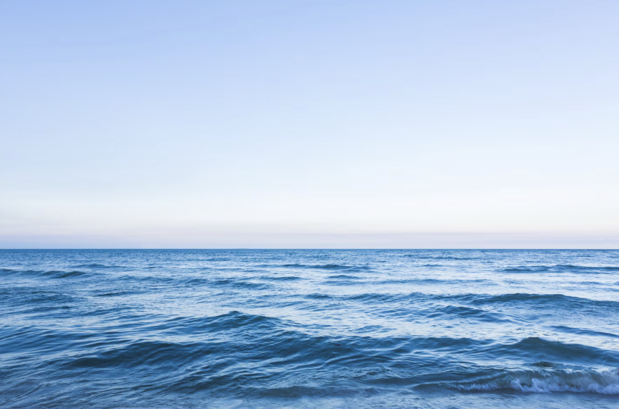 Фото: freepik/jannoon028(фреепик/джанон028)