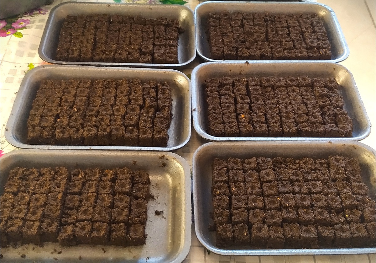 маленькие блоки 1,5х2 см по 20 штук за раз :-)