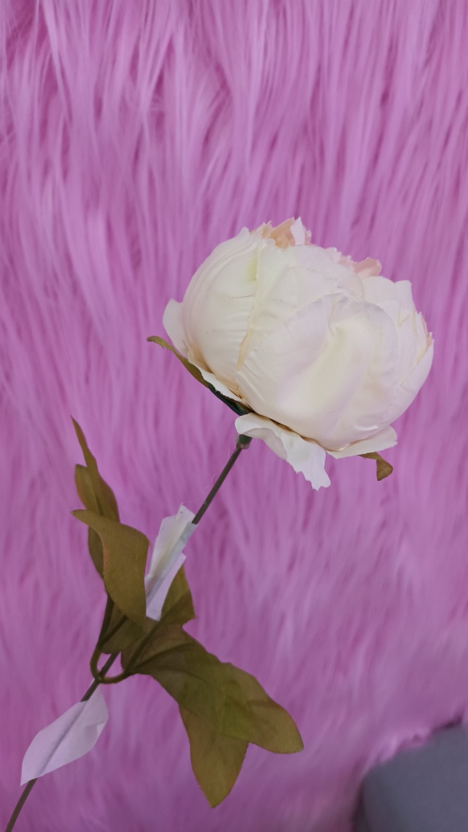 Цветик - семицветик