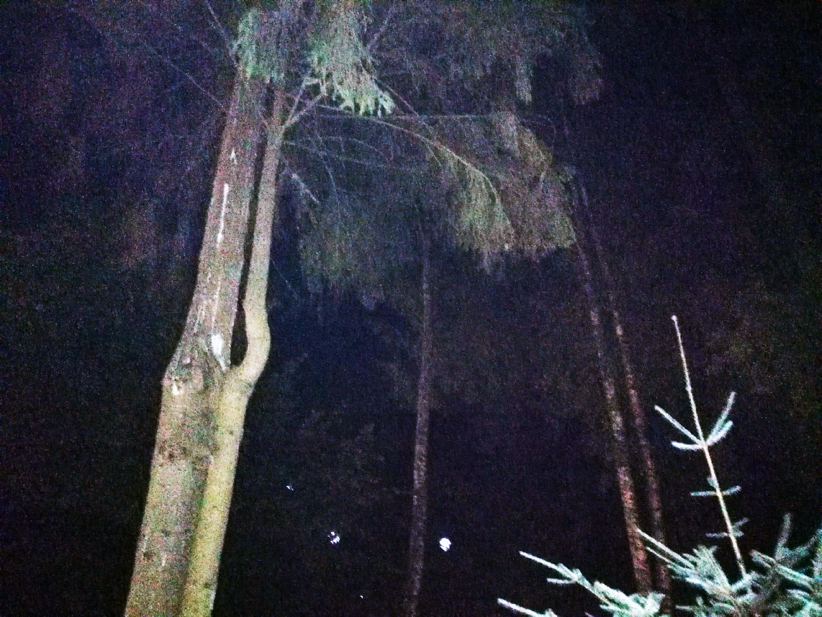 Фото: Столичный курьер