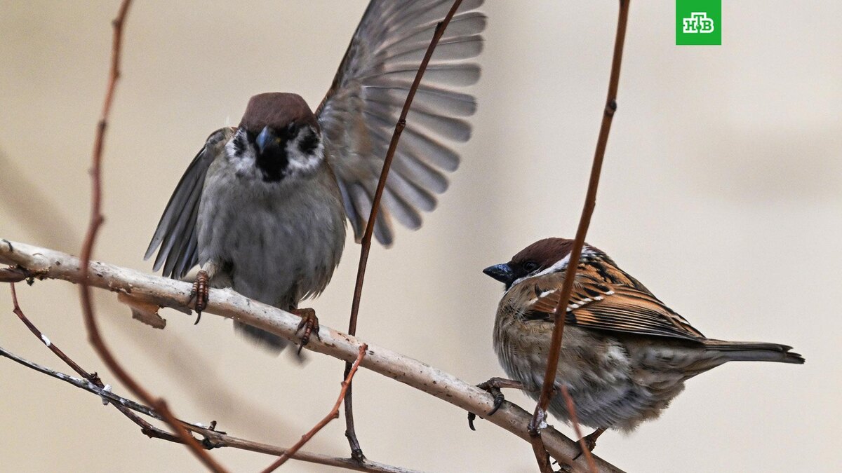    Фото: РИА Новости © 2026, Виталий Аньков