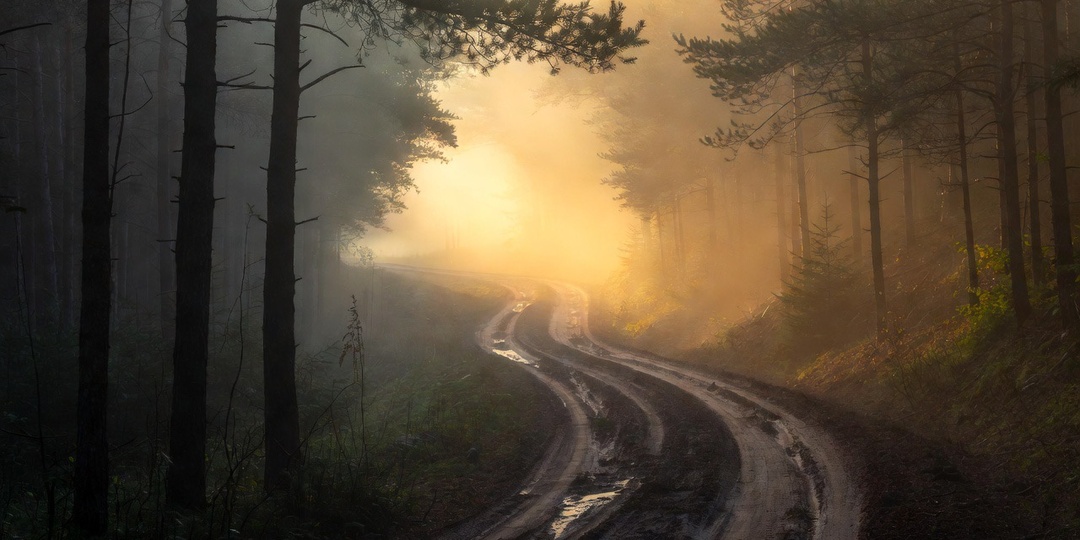 Райдо: Ритм, который превращает движение в путь