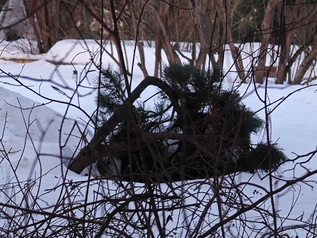 Фото автора канала 