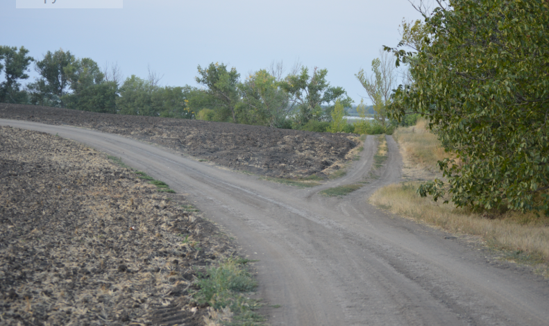 Фото автора. Осень 2025. Поля агрофирмы.